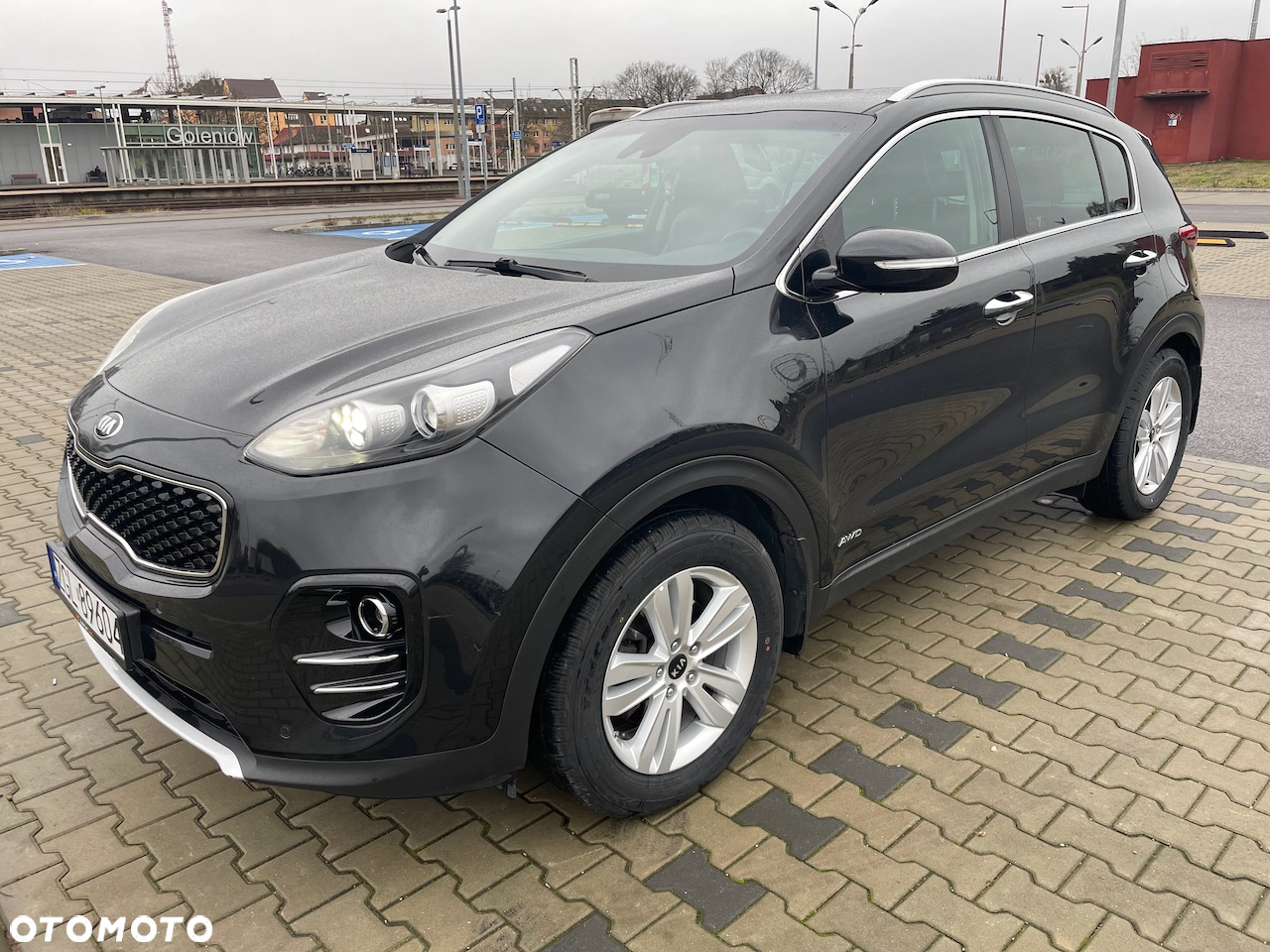 Kia Sportage 1.6 T-GDI Business Line 4WD DCT - 2