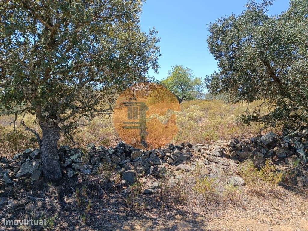 TERRENO COM VISTA RIO - COM 11.920 M2 PRÓXIMO A FOZ DE ODELEITE - C... - Grande imagem: 3/27