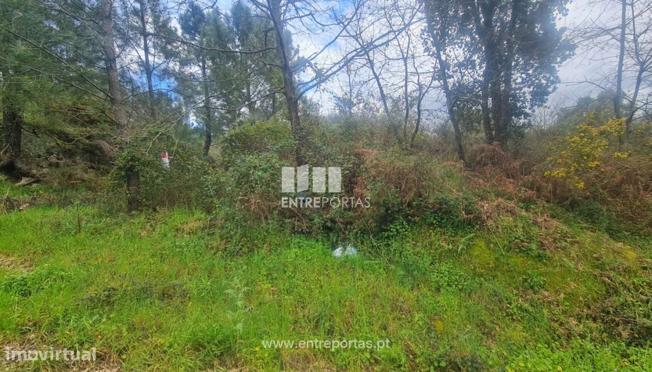 Venda Terreno, Sta. Marinha do Zêzere, Baião - Grande imagem: 5/34