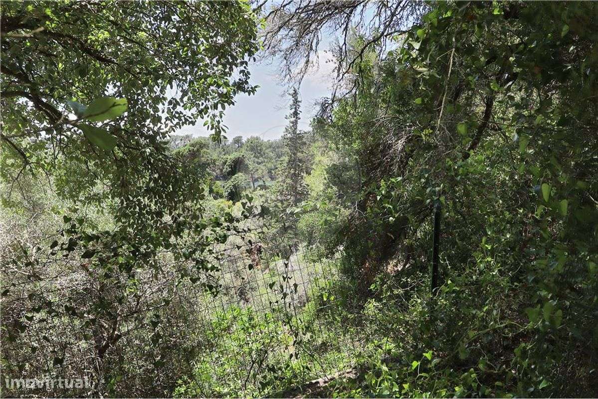 Terreno  para venda - Grande imagem: 4/18