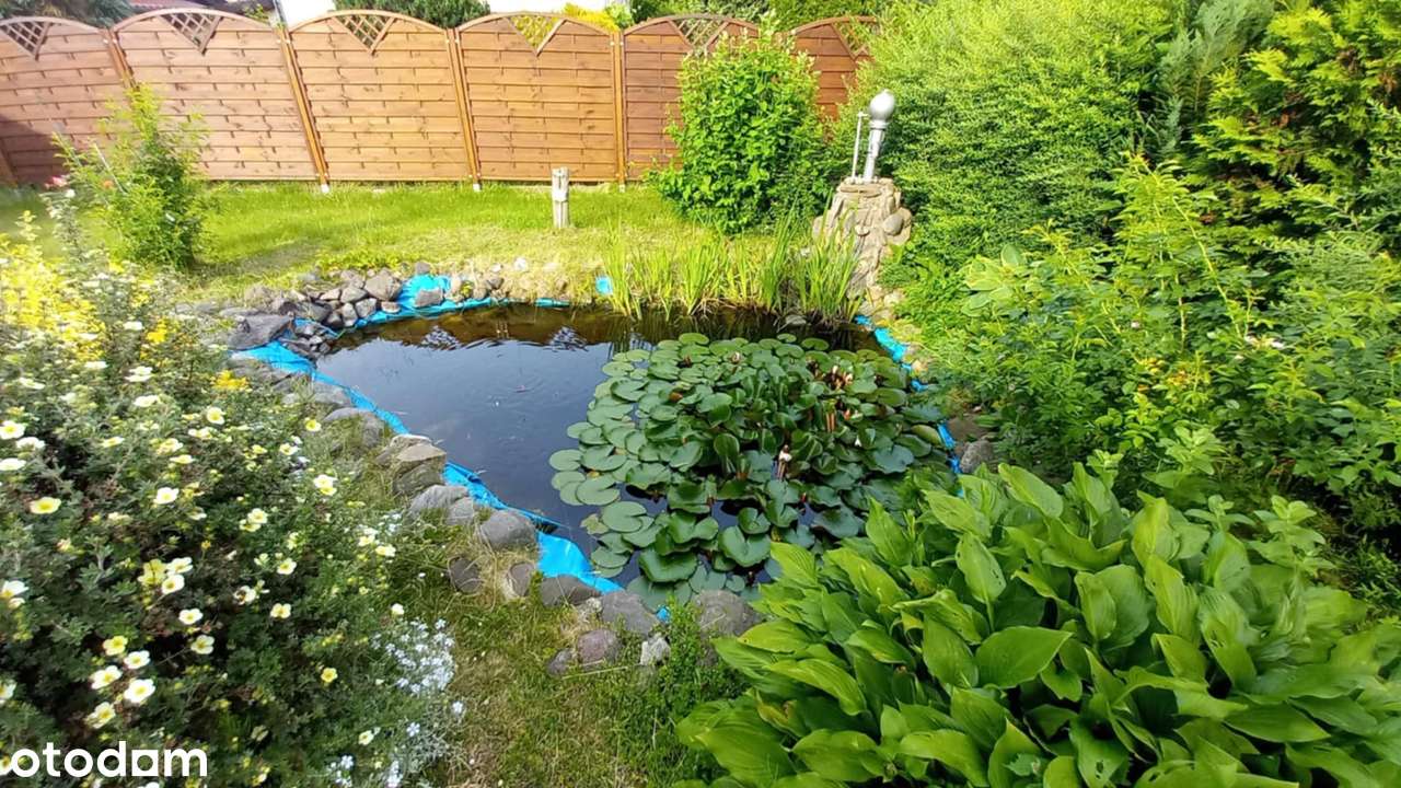 Działka ROD - bardzo atrakcyjna oferta - jezioro, las, piękna okolica - Pełny obrazek: 5/8