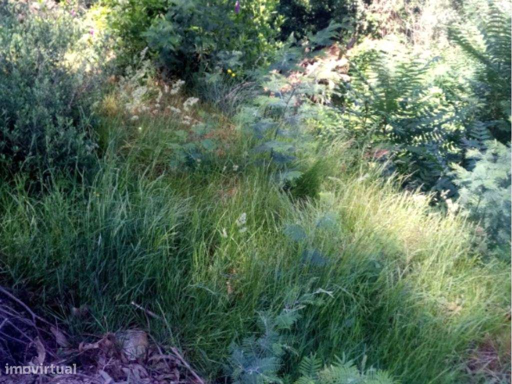 Terreno para Construção - Amarante - Grande imagem: 4/5