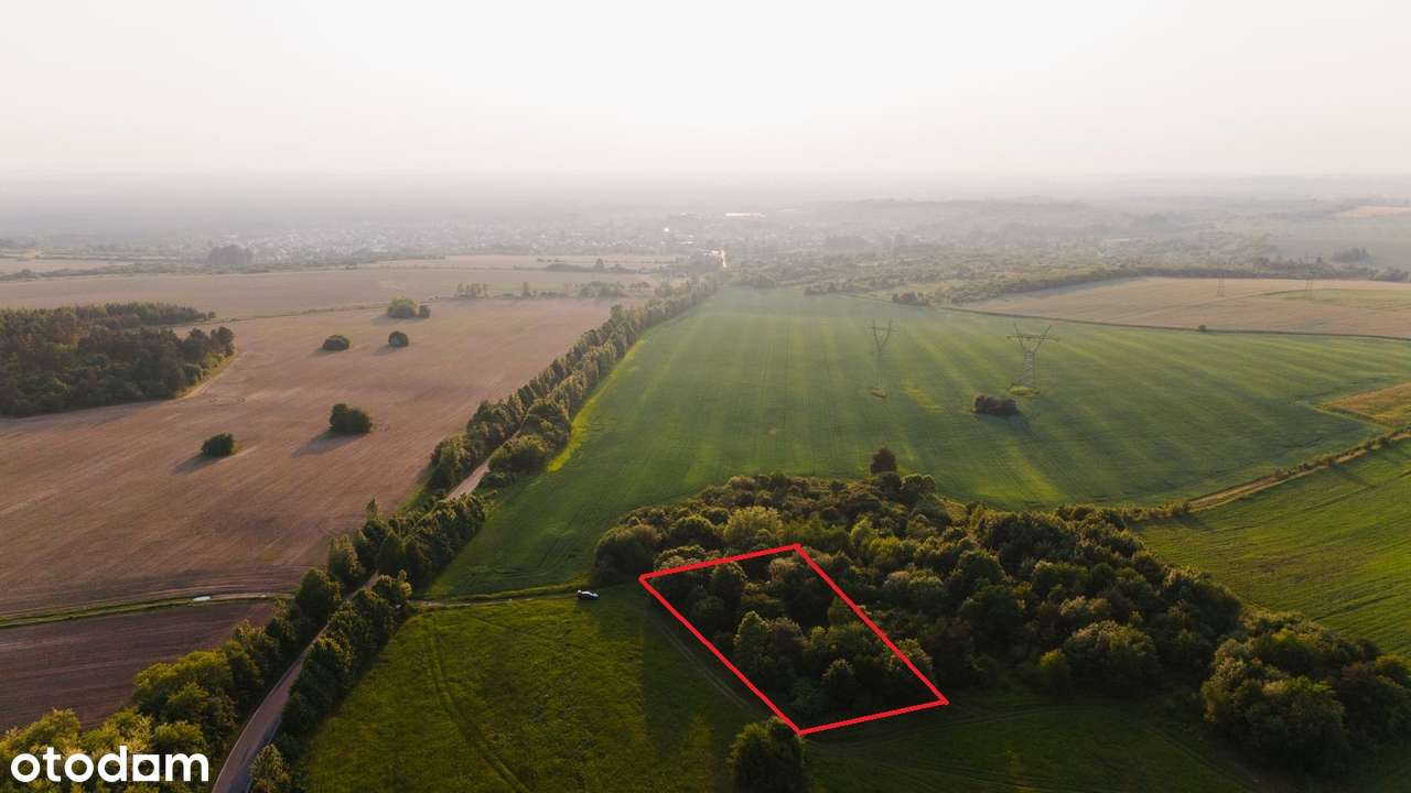 Ostatnia działka budowlana w lesie- 2173 m2 - k. Zamku Ogrodzieniec-1