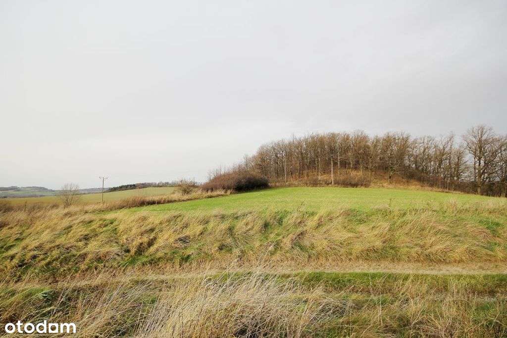 Działka z pięknym widokiem na panoramę-11