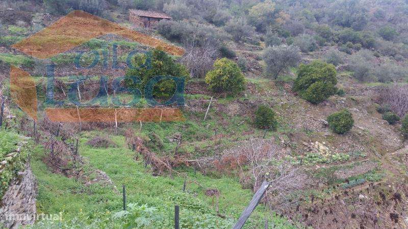 Quintinha em Santo Adrião - Grande imagem: 2/20