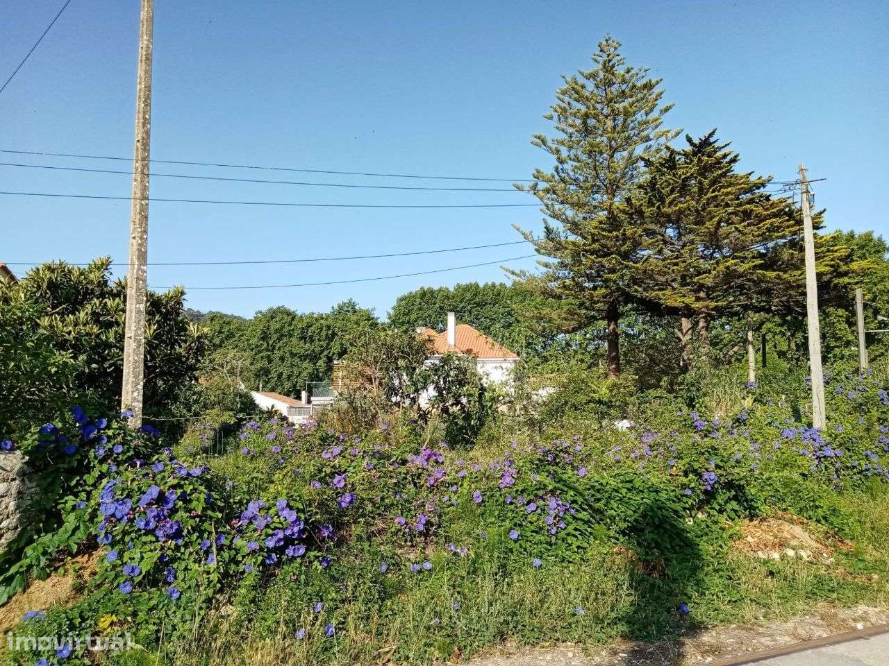 Terreno urbano em Colares-4