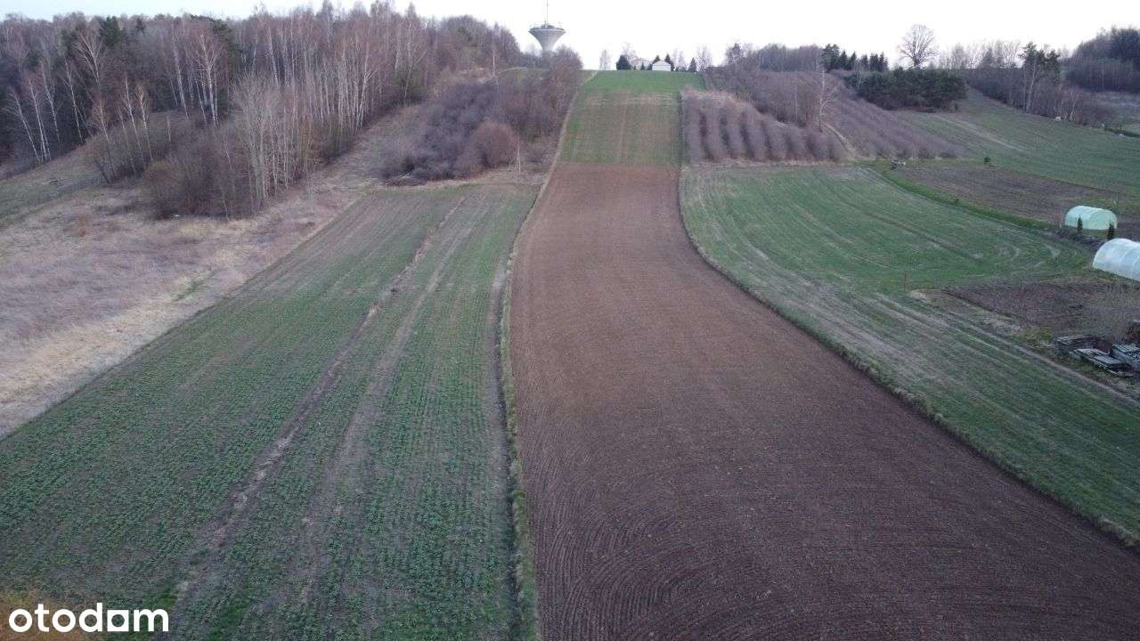 Rozpocznij budowę w Nałęczowie na 8540 mkw - Pełny obrazek: 4/11