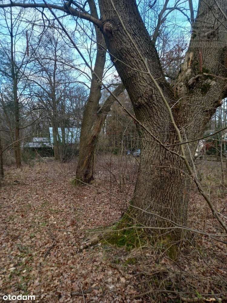 Działka budowlana Adamowizna - Pełny obrazek: 4/4