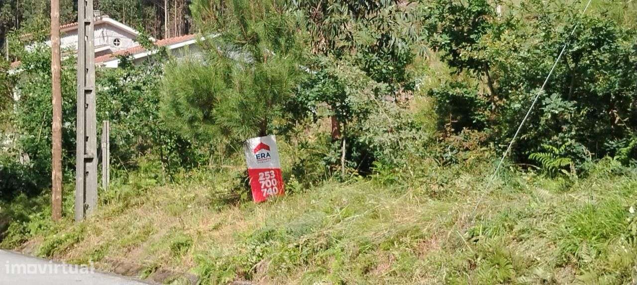 Terreno com 3.360 m2 em Arnozela - Grande imagem: 4/14