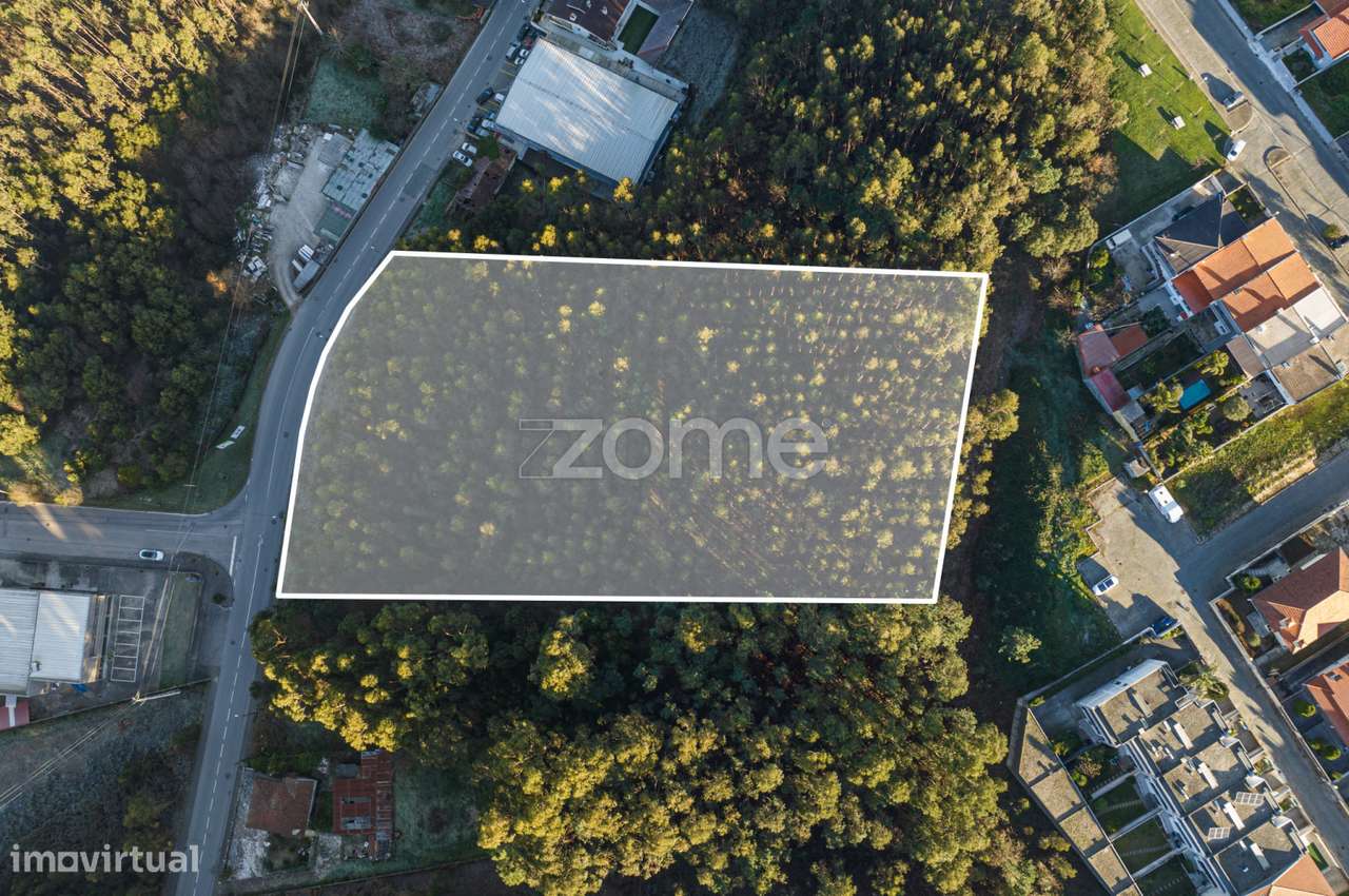 Terreno Urbano Sanguedo - Grande imagem: 2/16