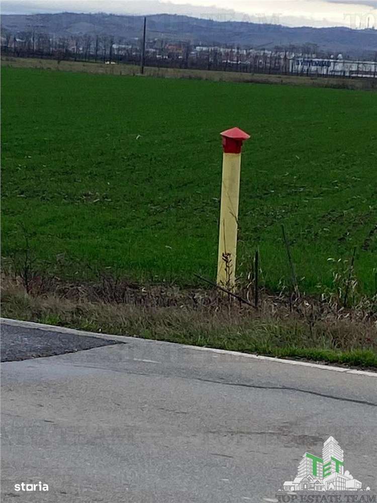 Teren Extravilan in Prahova-3