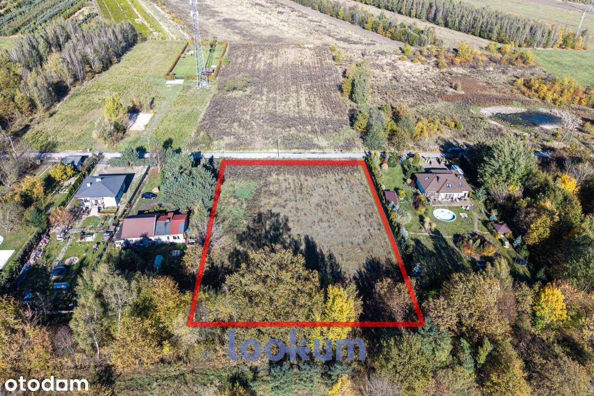 Działka inwestycyjna 4550 m²  Łódź Widzew - Pełny obrazek: 5/8