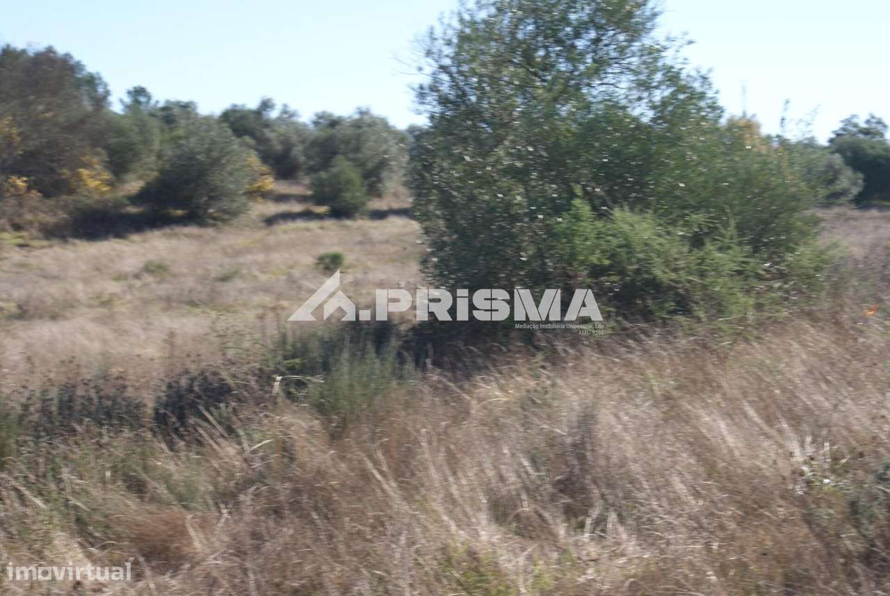 Oportunidade Única às Portas de Castelo Branco!-23