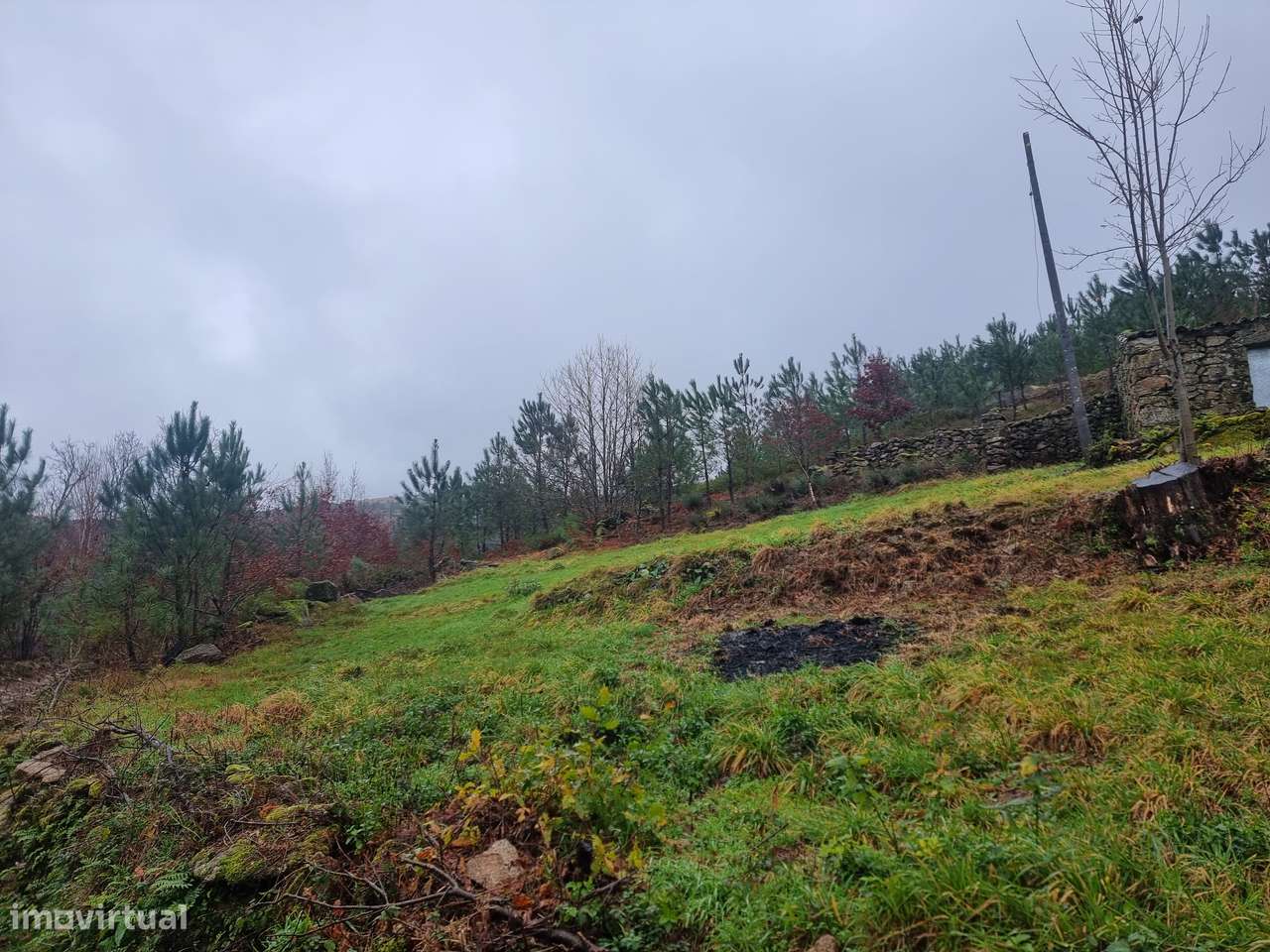 Moradia para restauro-7