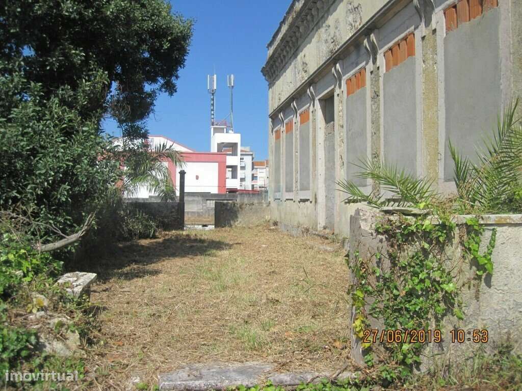 Terreno  c/ 10.000 M2 na Figueira da Foz-14