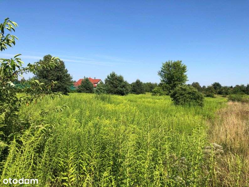 Duża działka w centrum - SUPER CENA - Pełny obrazek: 4/11