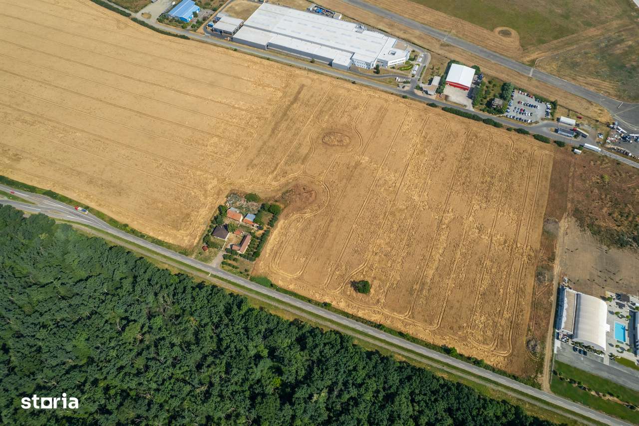Oportunitate Teren Intravilan, 57.100 mp, Cal.Bodrogului - Aeroport - Imagine principală: 4/8
