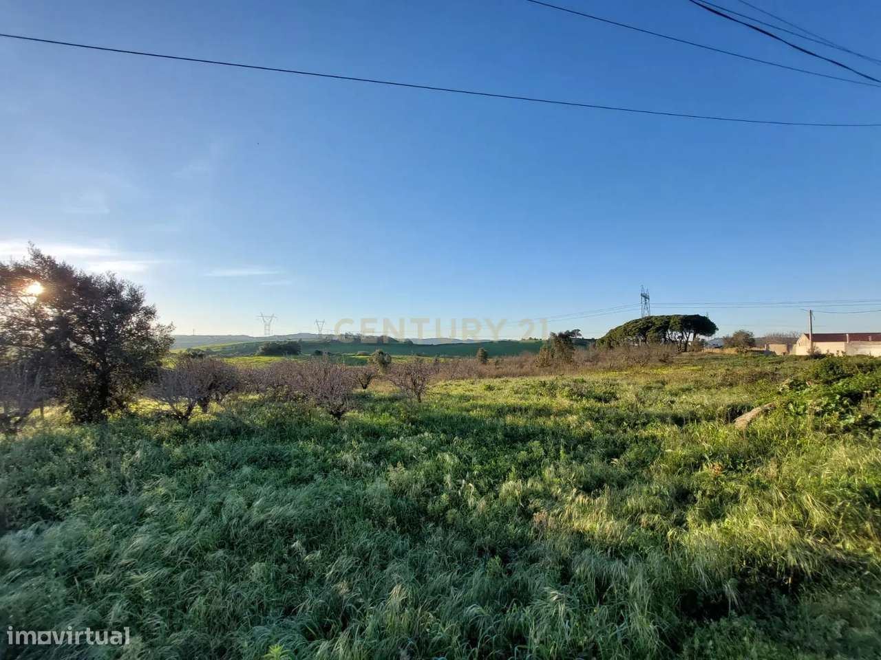 Quinta - 25 hectares-34