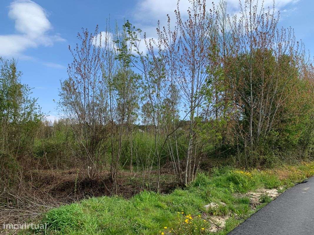Terrenos á venda - Grande imagem: 5/21