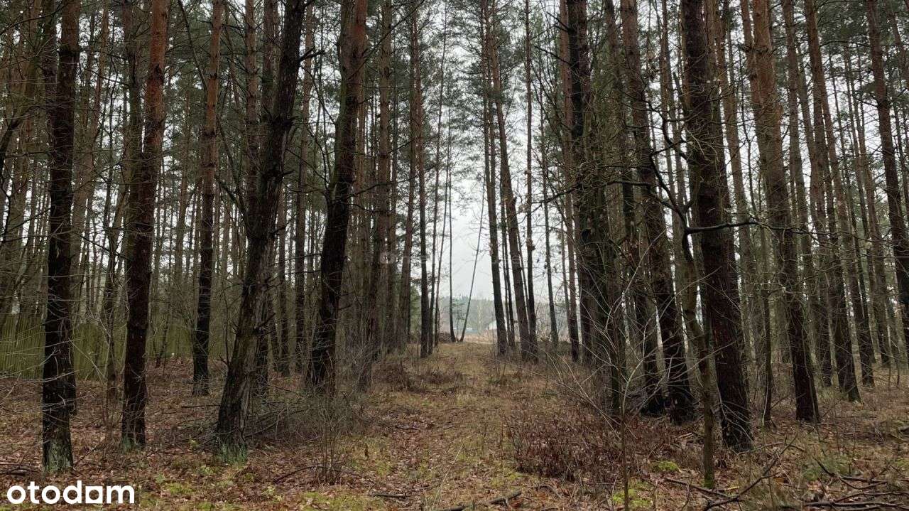 Malownicza działka 2700m2 w Kamieńczyku - Pełny obrazek: 4/7