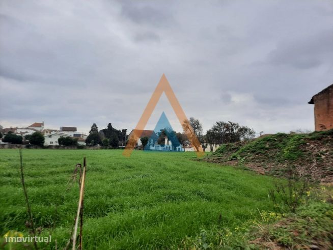Quinta em Válega - Ovar-13