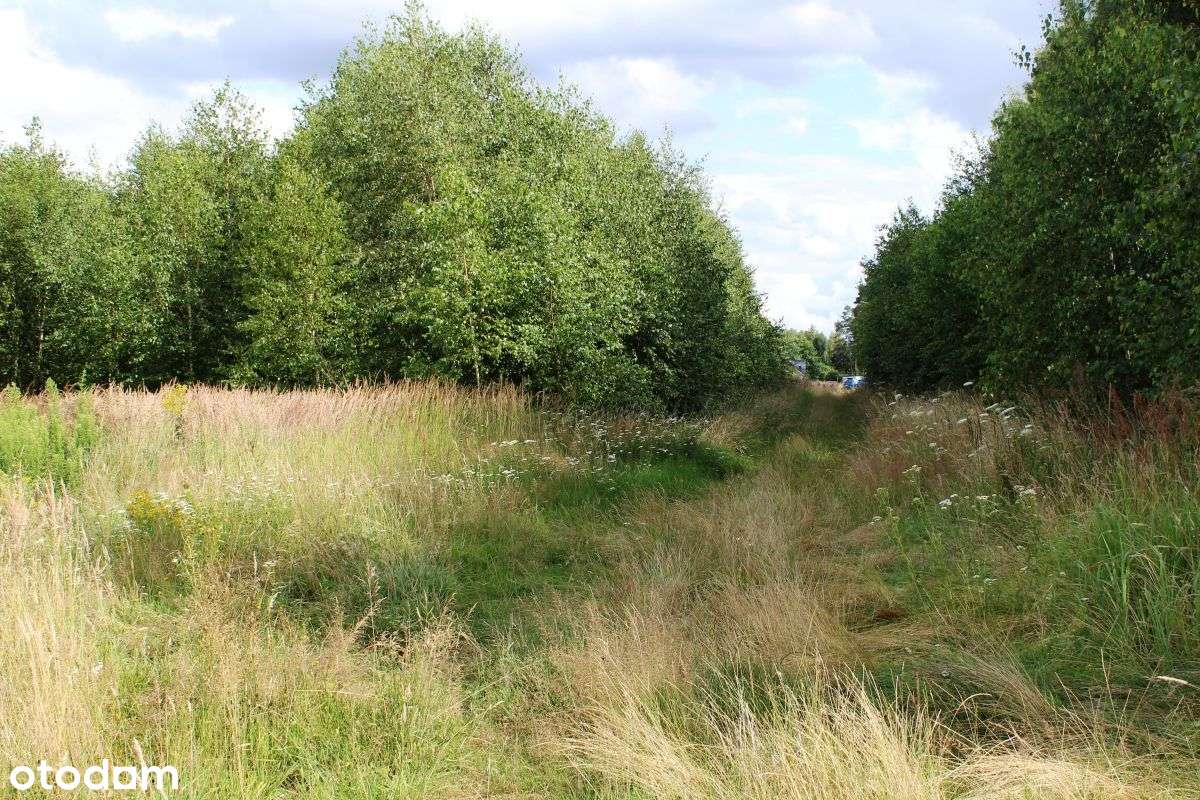 Ziemia orna z potencjałem-3