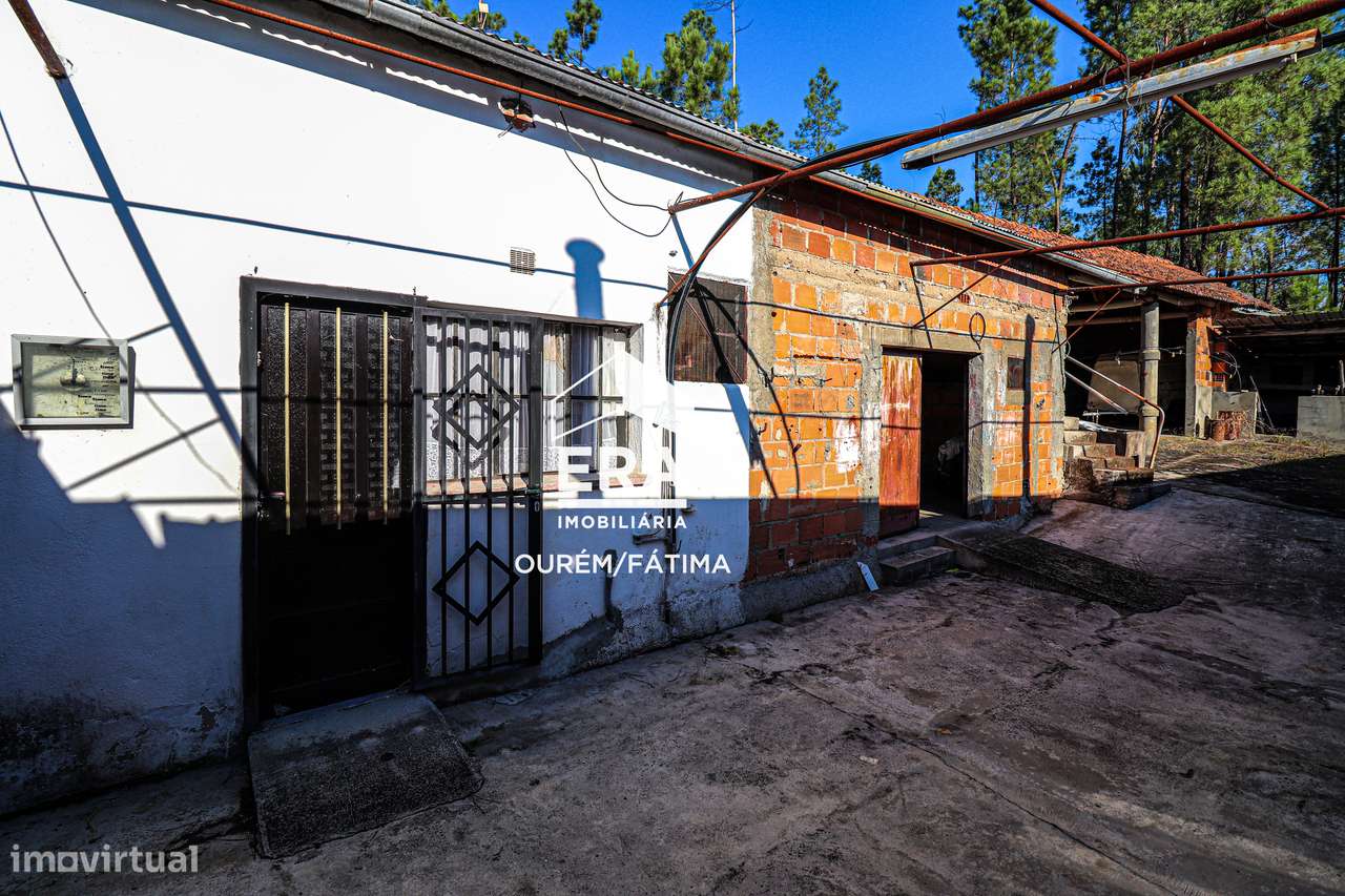 Moradia T3 implantada num terreno com 3.855m2 em Casal Domingos João-16