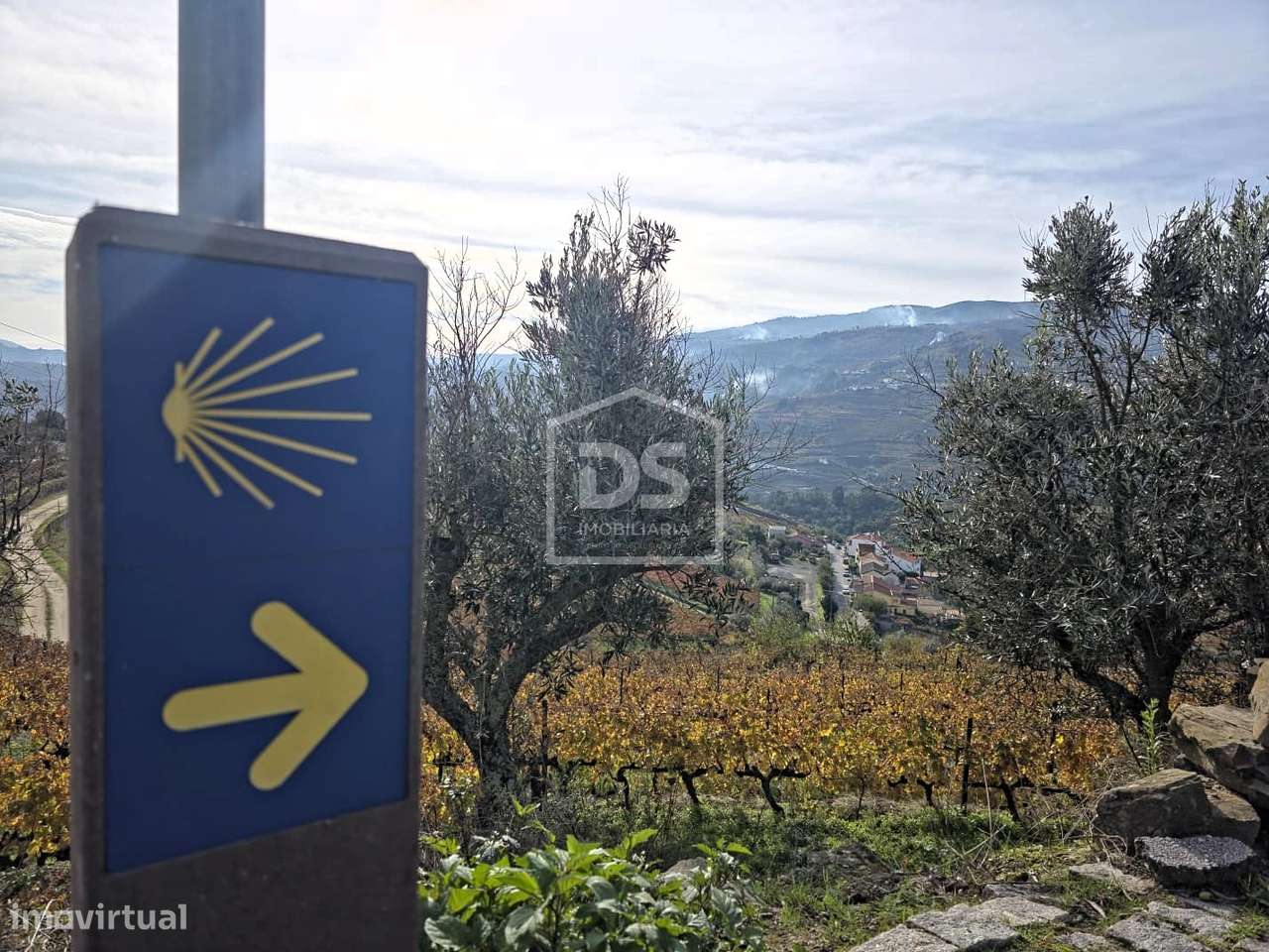 Quinta T4 Venda em Fontelas,Peso da Régua-32