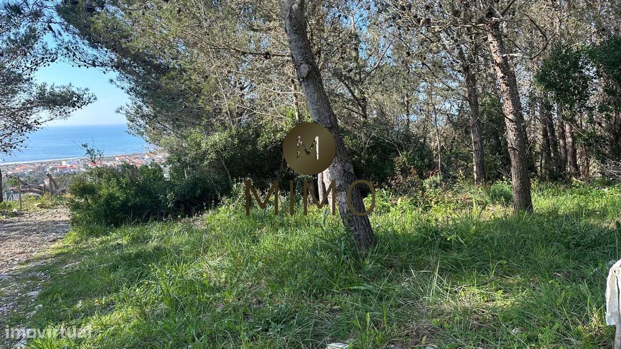 Terreno Para Venda na Murtinheira-25