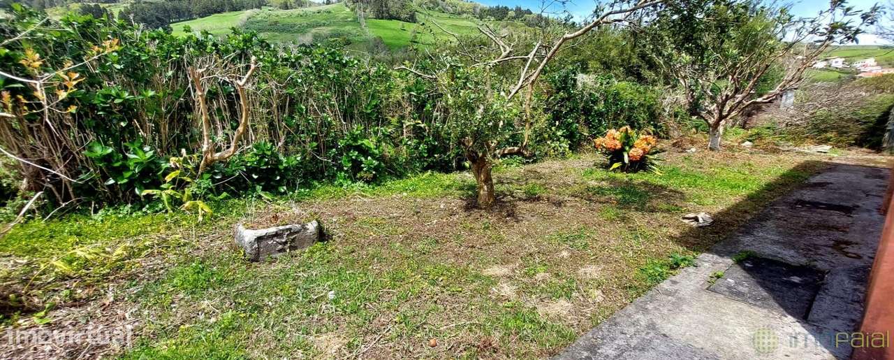 T3 c/Marquise| Flamengos-41