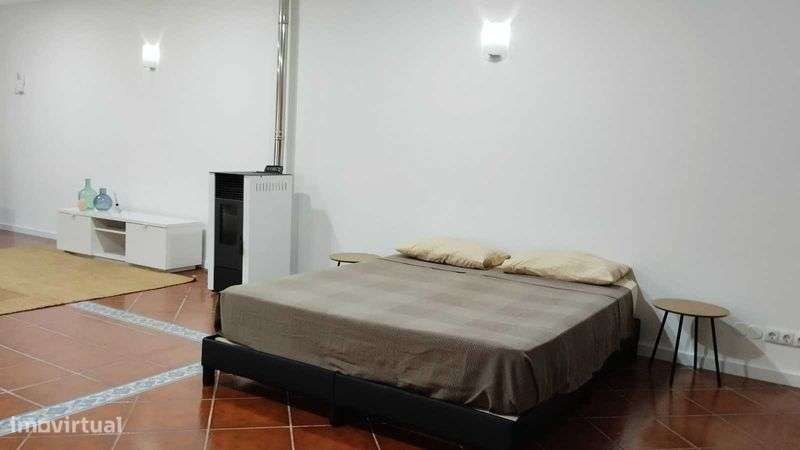 T1 mobilado e equipado para arrendar em Sangalhos, Anadia - Grande imagem: 4/10