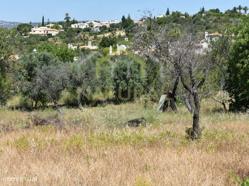 Terreno Rústico com Vista Mar em Vale Formoso Almancil - Grande imagem: 4/6