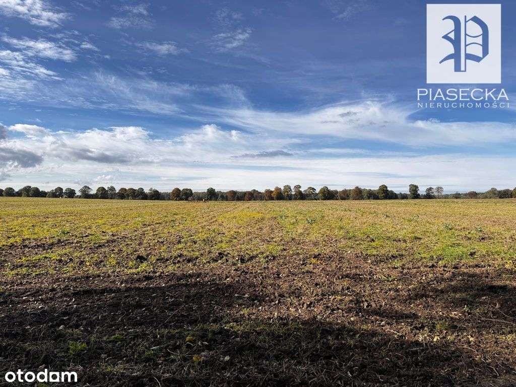 Działka pod zabudowę lub inwestycje nad morzem-7