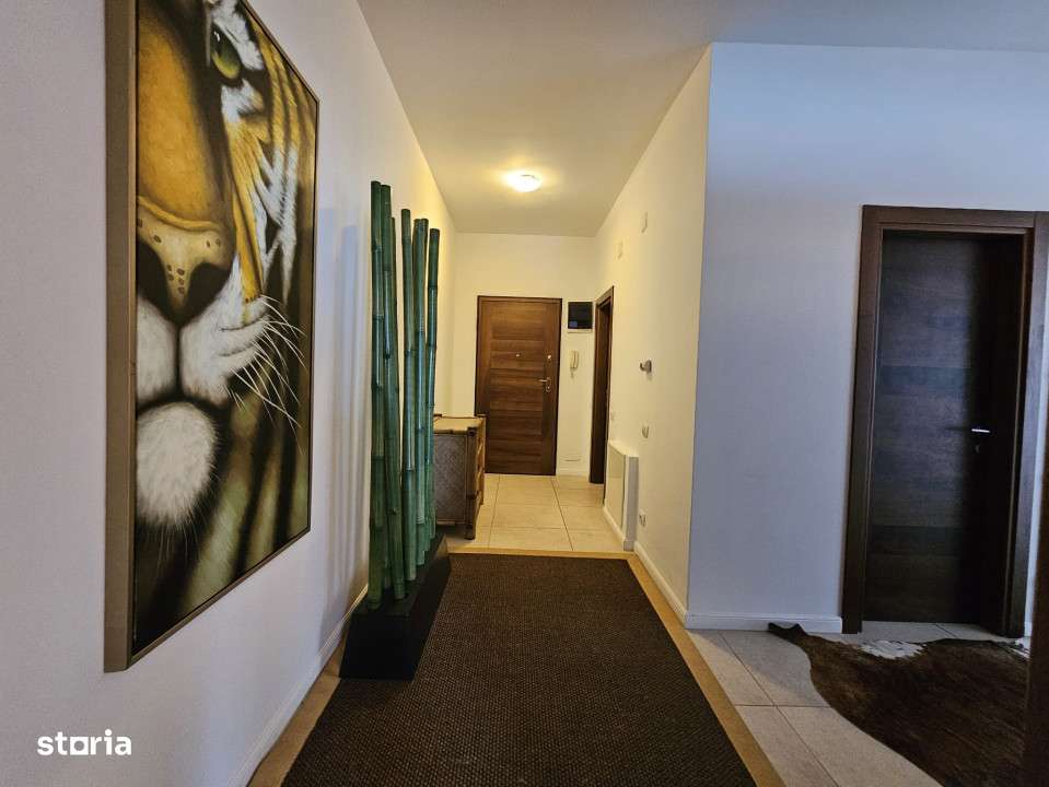 Apartament deosebit , vedere frontala catre Lac-centrul statiunii Mama-8