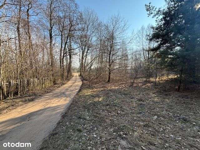 Działki budowlane w lesie 25 km od Warszawy