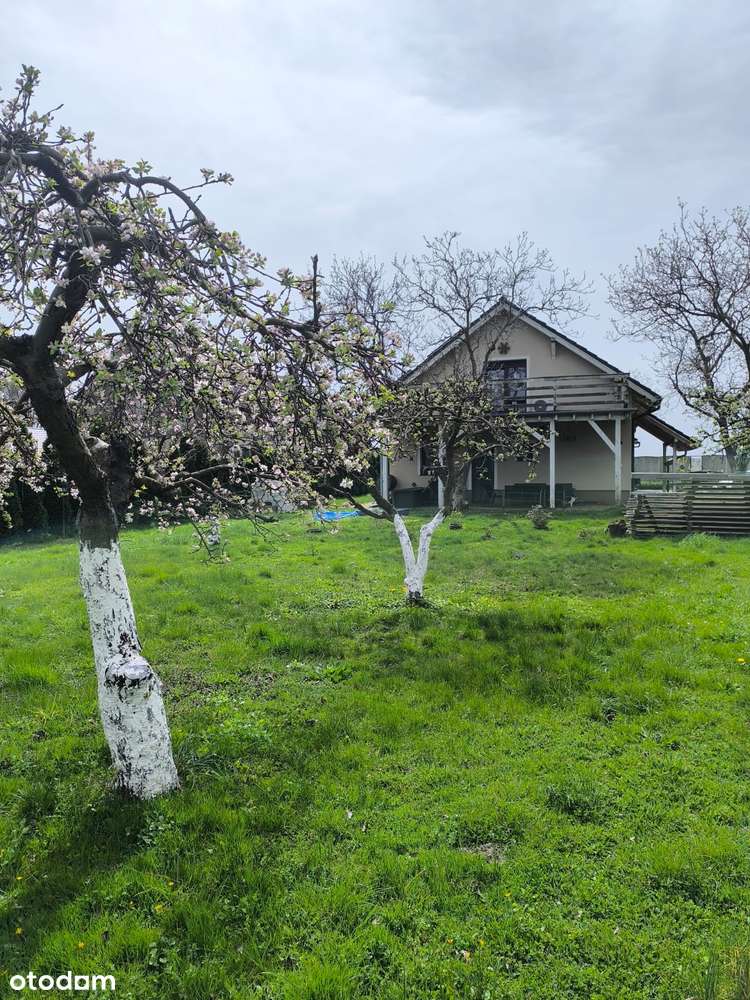 Dwa domy na jednej działce w Zamysłowie (obok Szlichtyngowej)-18