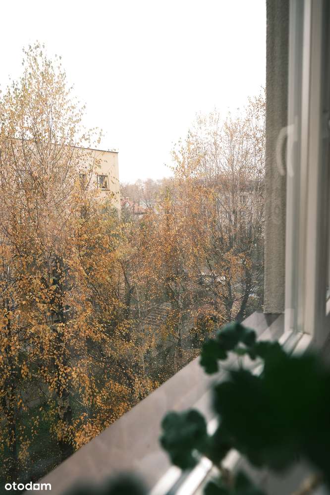 BEZPOŚREDNIO | 3 Pokoje 59m2 | Balkon | Zielony Wirek - Pełny obrazek: 3/15