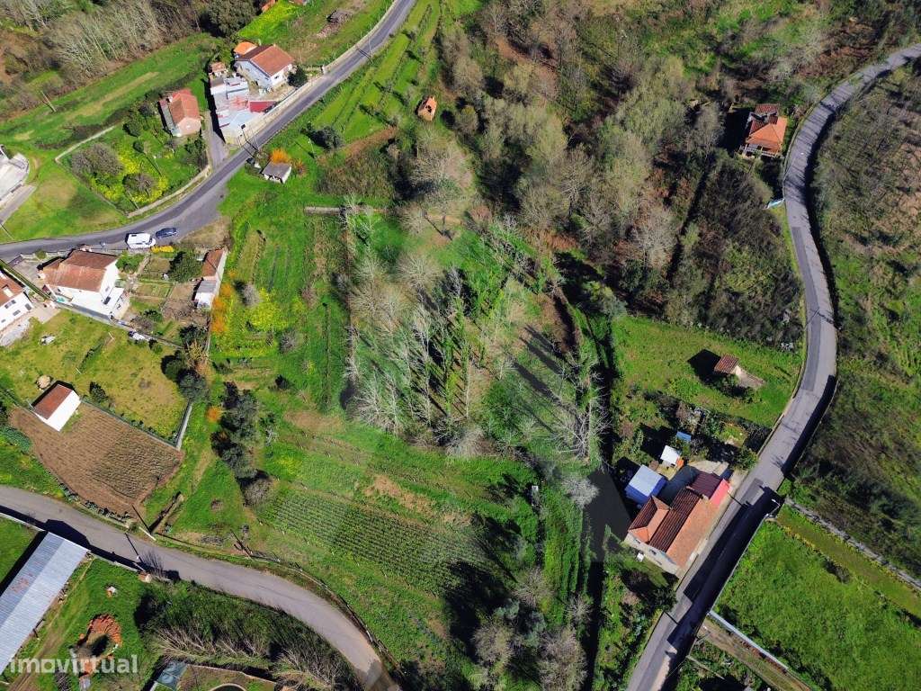 Terreno em Jafafe - Macinhata do Vouga-4