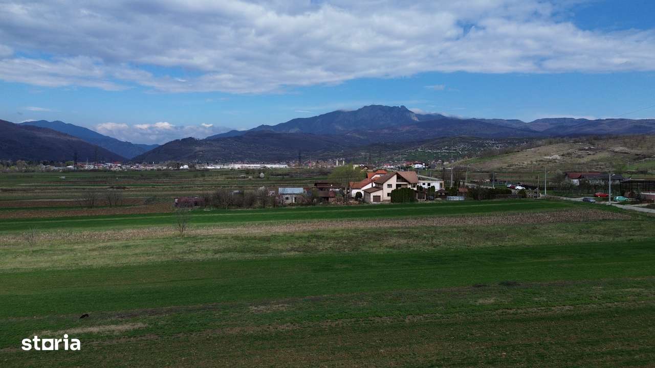 Teren / Jiblea Noua / Calimanesti /-0