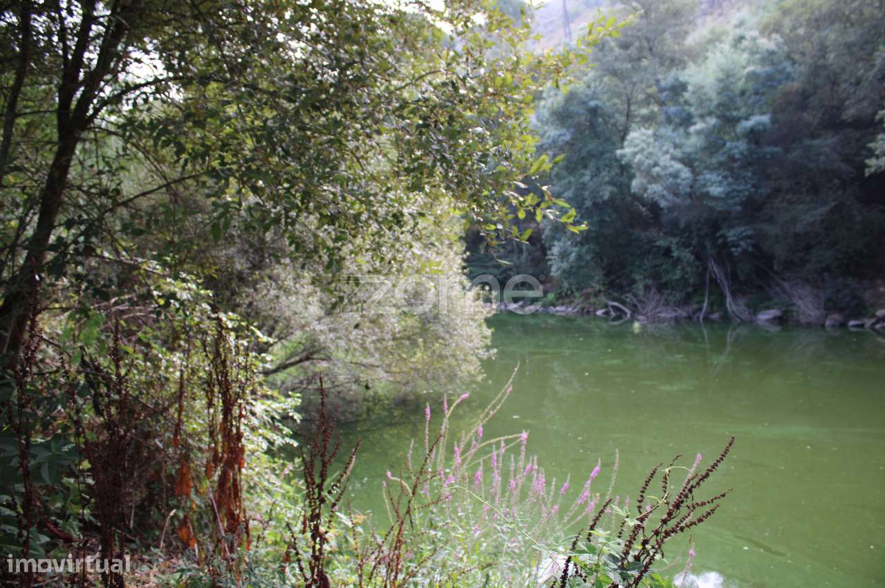 Terreno na margem do Rio Dão - Grande imagem: 3/23