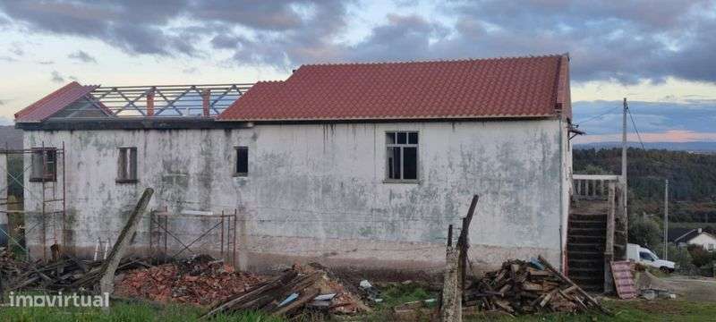 Quinta com 6 hectares - Grande imagem: 5/5