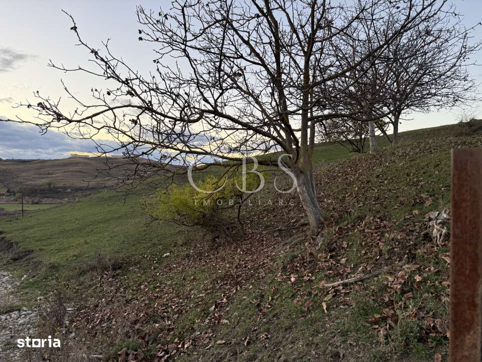 Teren Intravilan cu panorama in Borhanci Str Colonia Sopor 1000mp+85mp - Imagine principală: 4/7