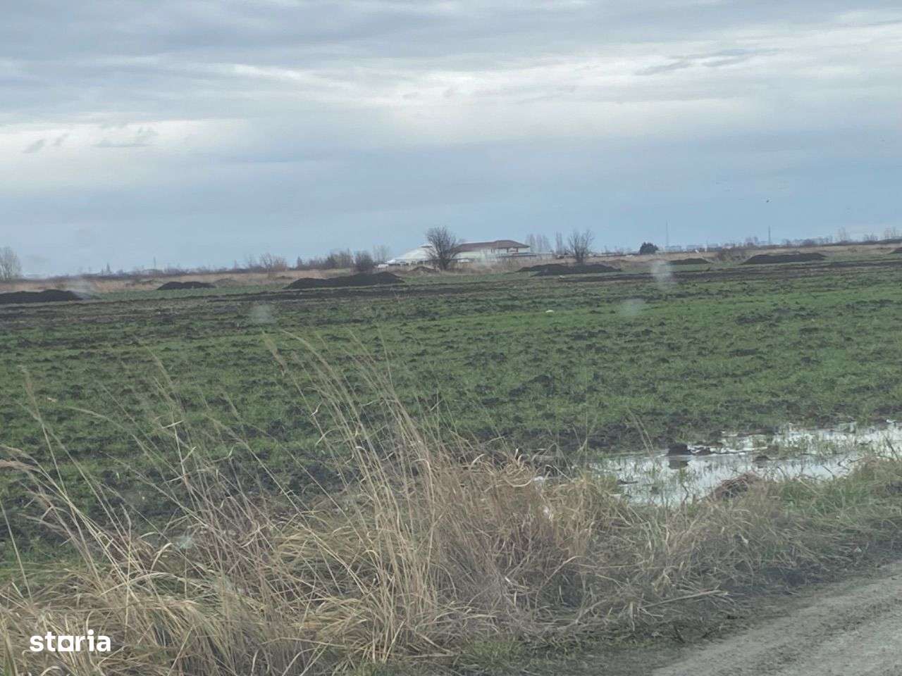 Teren intravilan in Sacalaz cu utilitati-0