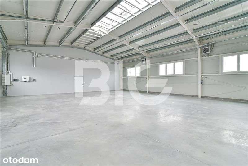 Magazyn, biuro. Dostępne od zaraz - Pełny obrazek: 4/11