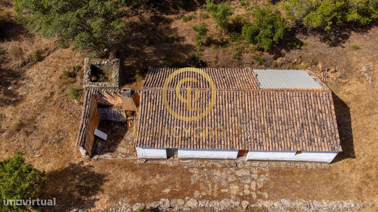 Quinta de 6 hectares perto de São Martinho das Amoreiras-27