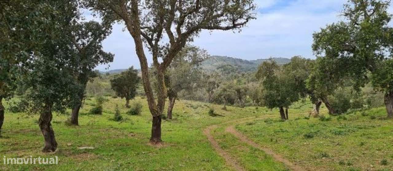 Terreno  para venda - Grande imagem: 4/9