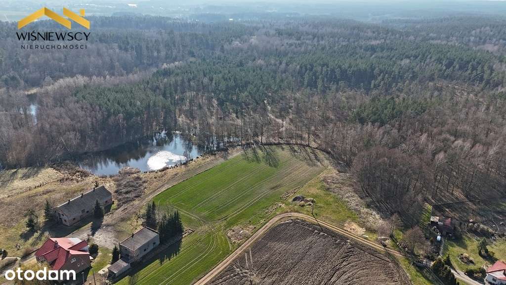 Działka budowlana z lasem - Pełny obrazek: 4/4