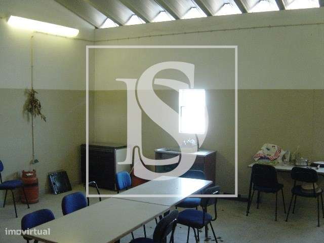 Nave Industrial de Nelas - Grande imagem: 5/19