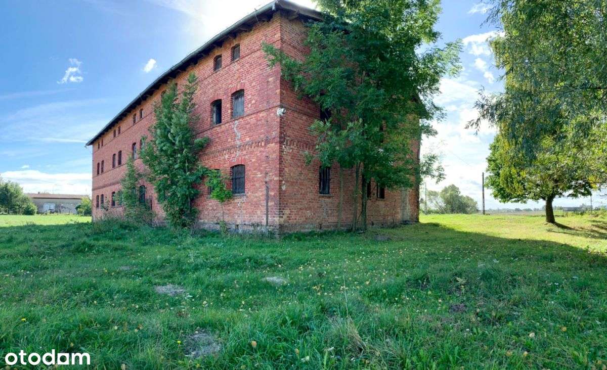 Budynek z potencjałem usługowym! Klęczkowo - Pełny obrazek: 4/7