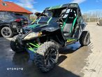 Arctic Cat Inny - 6